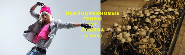 соль ск Балахна