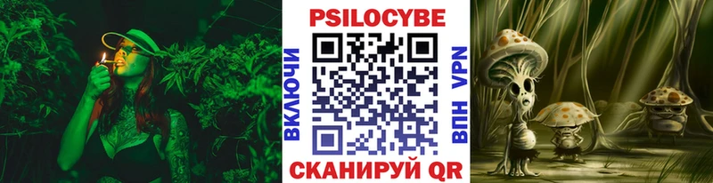 Купить  Сретенск  Галлюциногенные грибы Psilocybe 